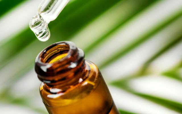 Tea Tree Oil For Piercing | Symptoms, treatment, and prevention » Zero ...