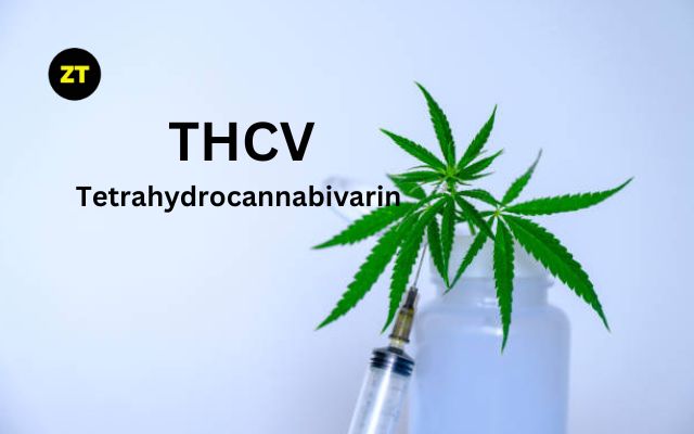 Everything You Need To Know About Tetrahydrocannabivarin (THCV)